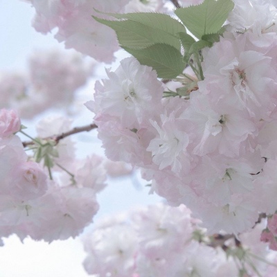 兽设火山场景设计兽圈群